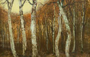 senza titolo - (bosco di betulle - autunno) - Jerzy Duda Gracz