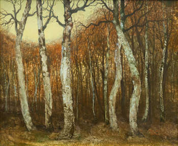 sans titre - (forêt de bouleaux - automne) - Jerzy Duda Gracz