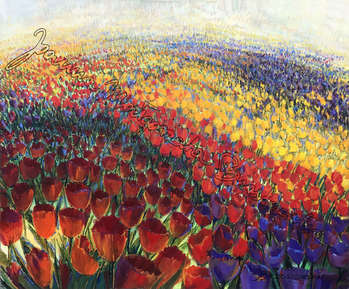 Meadow of tulips - Joanna Brzostowska
