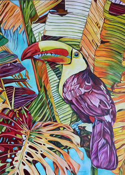 Tucano arcobaleno - Joanna Szumska