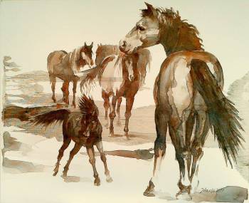 "Grupa koni" - Jolanta Kalopsidiotis