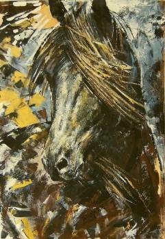 Kary koń - Jolanta Kalopsidiotis