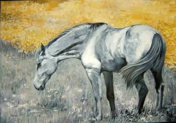 cavallo grigio - Jolanta Kalopsidiotis