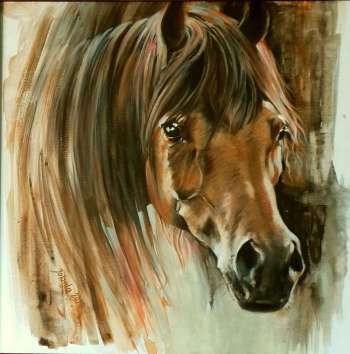 horse's head - Jolanta Kalopsidiotis