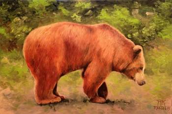 The Bear of Esterii - Krzysztof Kargol