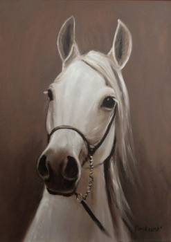 лошадь - Krzysztof Kloskowski
