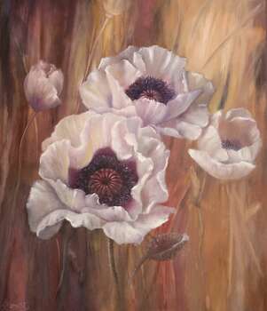 Weiße Gartenmohnblumen - Lidia Olbrycht
