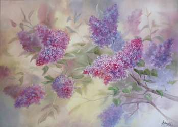 Fleurs lilas Impression - Lidia Olbrycht