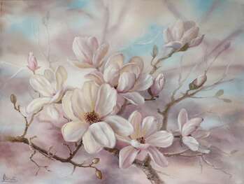 Magnolia - Lidia Olbrycht