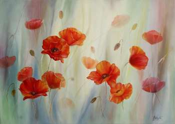 Coquelicots - Lidia Olbrycht