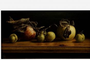 Дикие яблоки - Maciej Cichocki