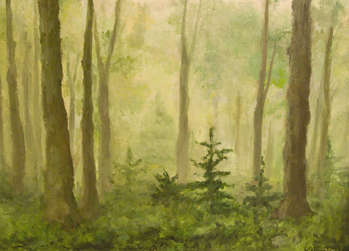 лес - Magdalena Bartocha