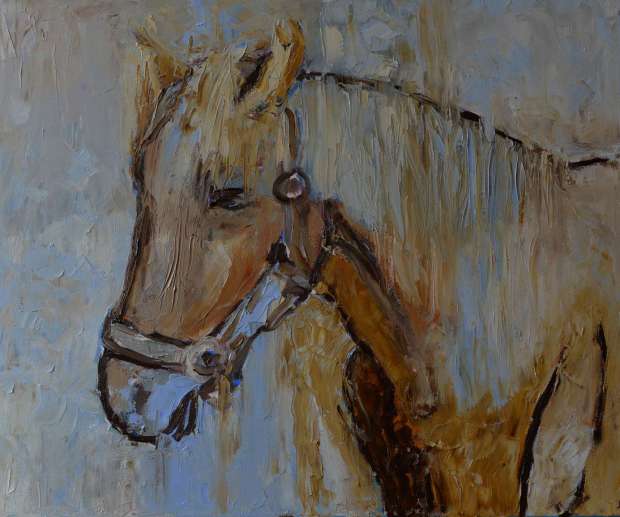 Animals - Horse 50 x 60 Magdalena Walulik