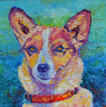 Oil portrait Dog 40 x 40 - Magdalena Walulik