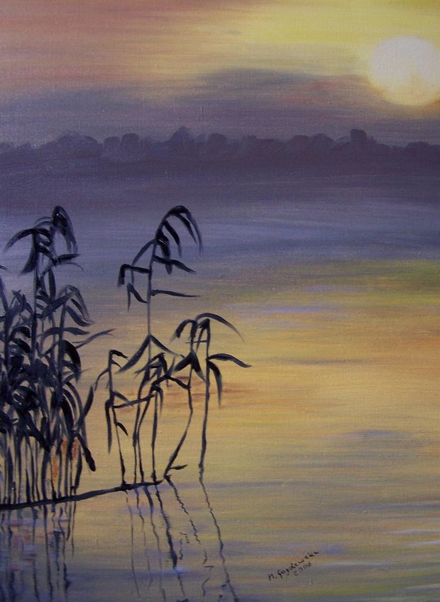 Trawy na wodzie z zachodem słońca Małgorzata Baranowska