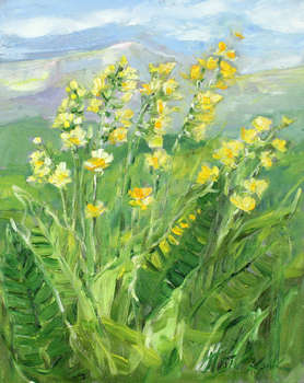 The first flowers of spring - Małgorzata Kruk