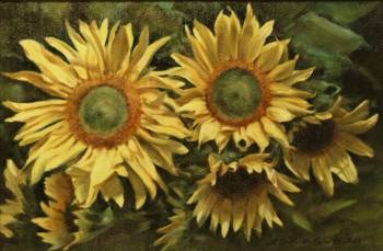 Sunflowers - Małgorzata Sadowska Majewska