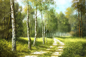 Road near the forest - Marek Szczepaniak