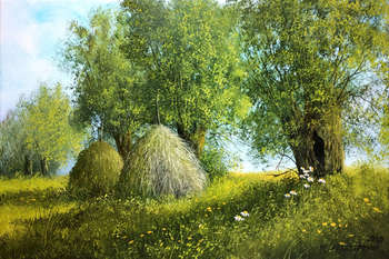 Among the meadows - Marek Szczepaniak