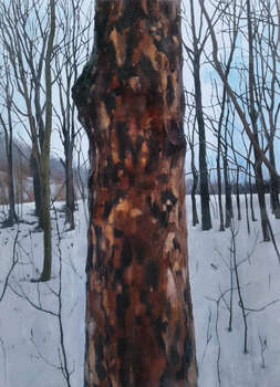 Łaciate drzewo - Maria Danielak