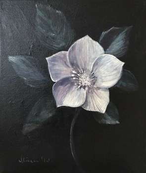 Piccola magnolia - Maria Kuzak