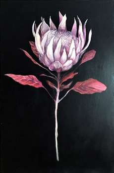 Protea królewska-egzotyczna odwaga - Maria Kuzak