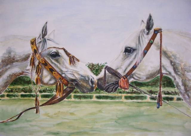 лошадей Emirates Maria Skrzypczyk