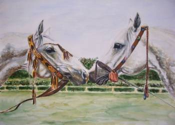 Pferde Emirate - Maria Skrzypczyk