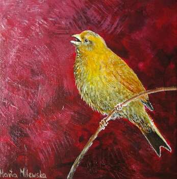 golden bird - Marta  Milewska
