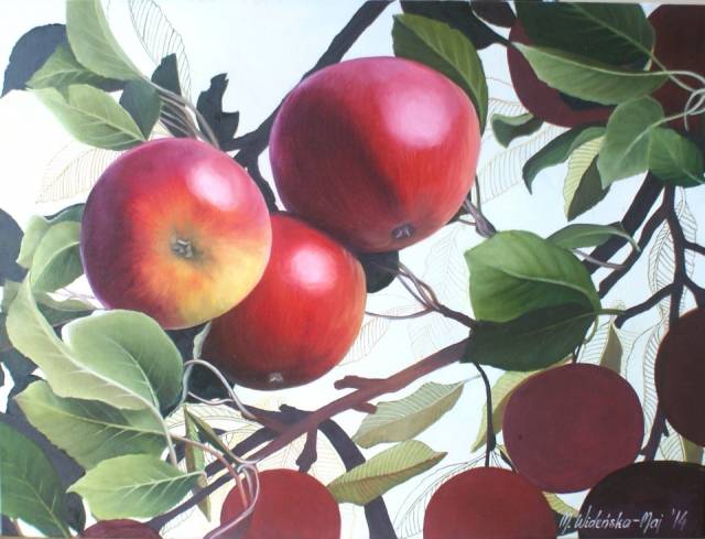 apples Marta Wideńska