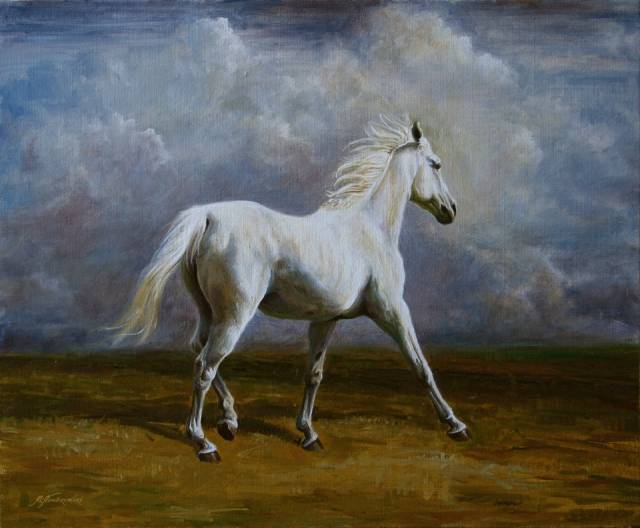 Portrait d'un cheval blanc Michał Nowakowski