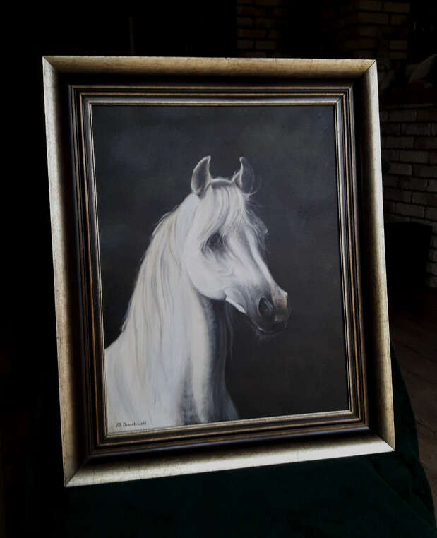 Portrait of a gray stallion Michał Nowakowski
