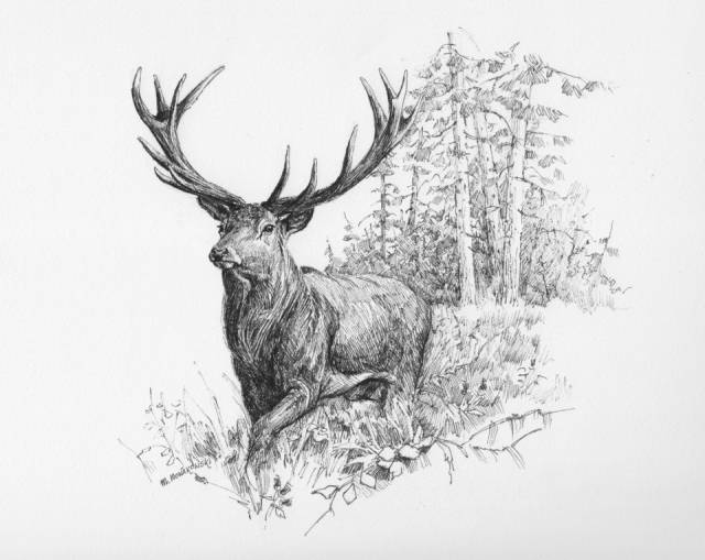 'Deer' - illustration for the story. Michał Nowakowski