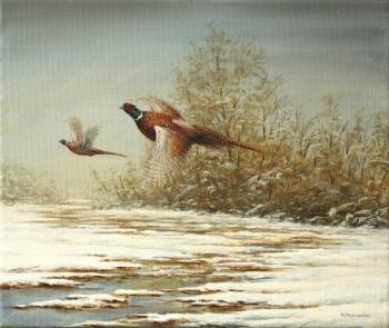 pheasants - Michał Nowakowski