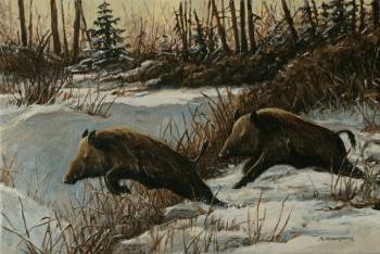  Wild in the winter scenery - Michał Nowakowski