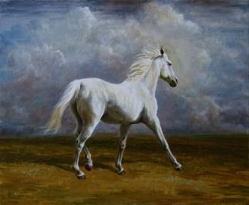 Porträt von einem weißen Pferd - Michał Nowakowski