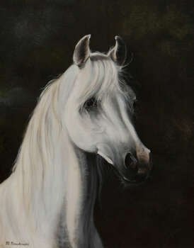 Portrait of a gray stallion - Michał Nowakowski