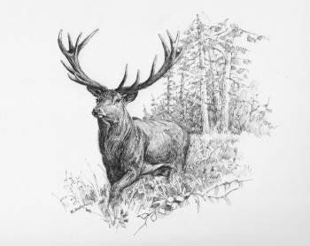 'Deer' - Illustration für die Geschichte. - Michał Nowakowski