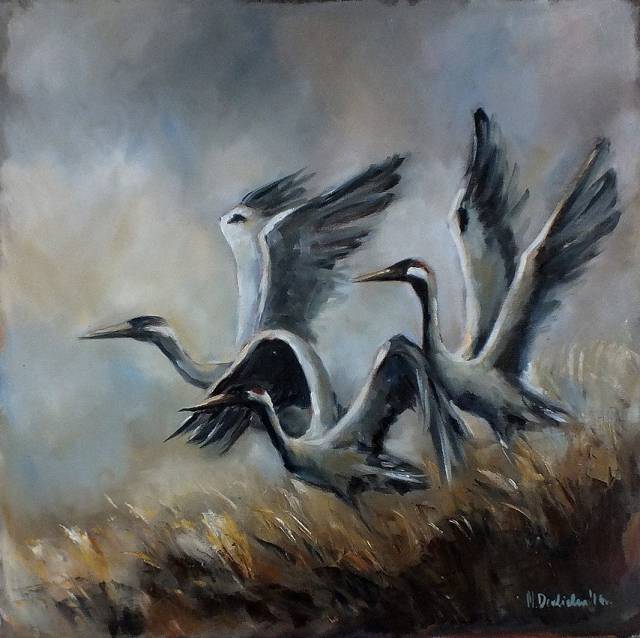 Cranes Michalina Derlicka