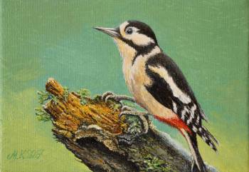 Woodpecker - Mirosław Kowzanowicz