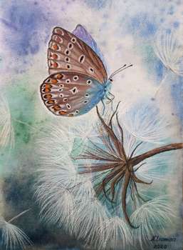 la farfalla - Nataliia Liamina
