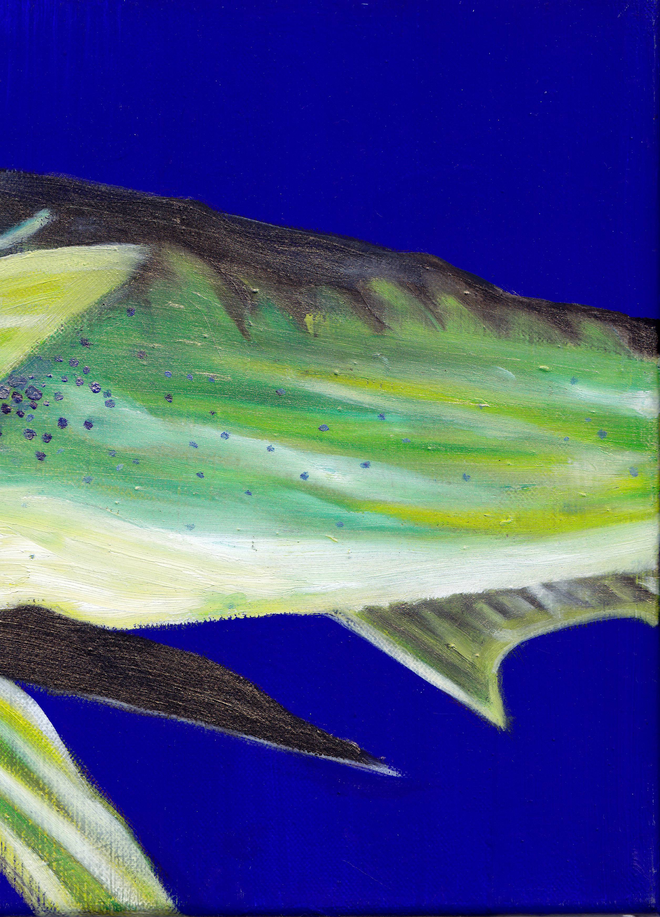 dorade cory part2 - Padovani Nicolas | TouchofArt