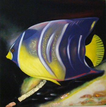 poisson ange - Padovani Nicolas