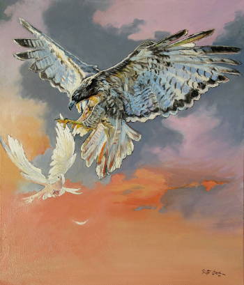 Hawk e colomba - Piotr Olech