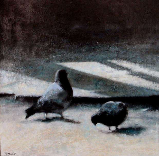 Квадратные голуби II Piotr Pilawa