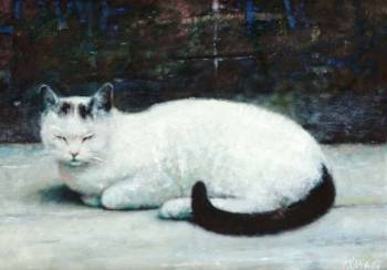 weiße Katze - Piotr Pilawa