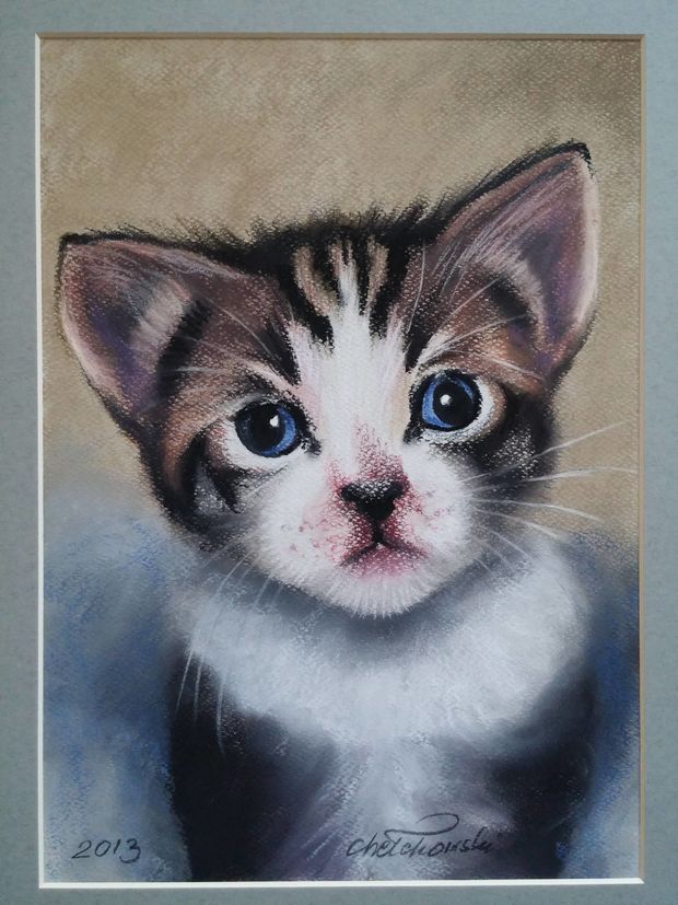 mały kotek Robert Chełchowski