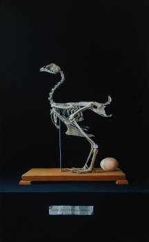 Skeleton - Tomasz Kucharski