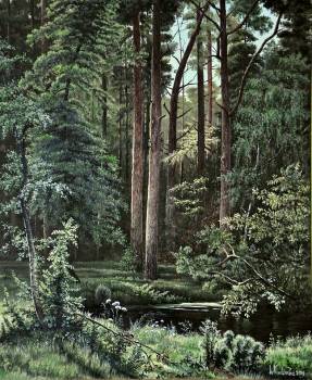 Staw w lesie - Wojciech Kądziołka