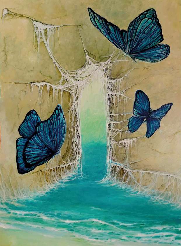 Бабочки Wojciech Malicki